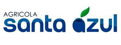 Santa azul