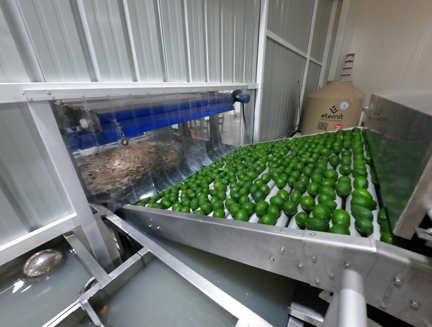 Equipo para Aguacate - vista 2