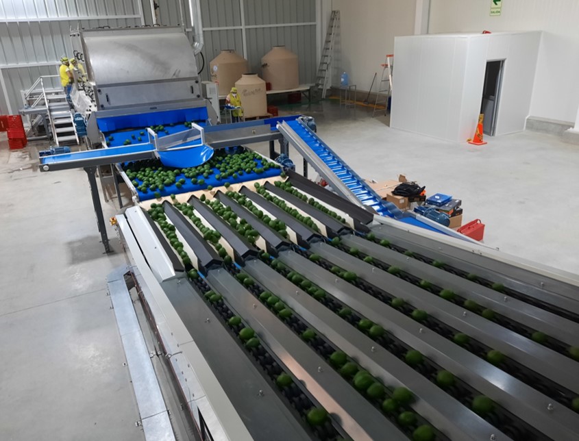 Equipo para Aguacate - vista 5