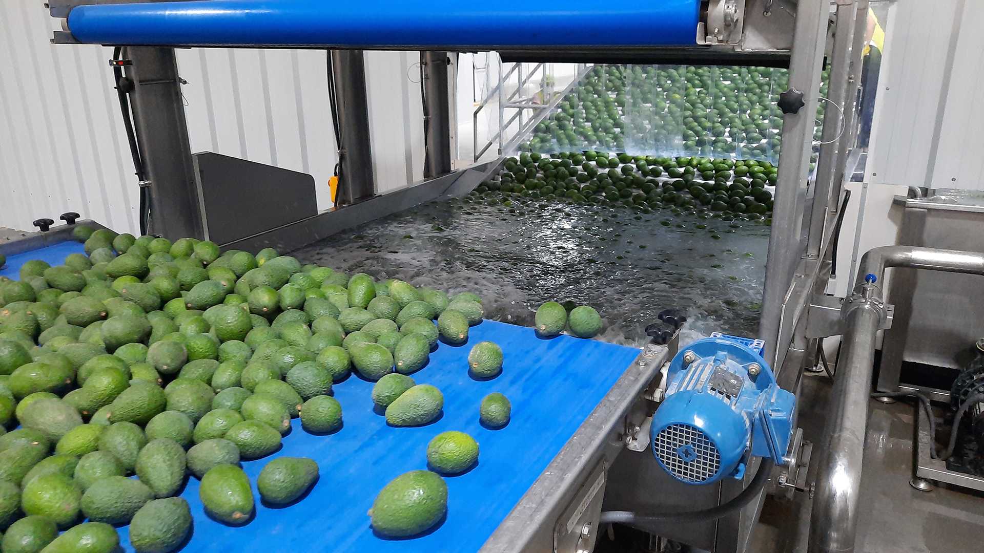 Equipo para Aguacate - vista 11