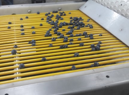 Equipo para Arandanos - vista 1