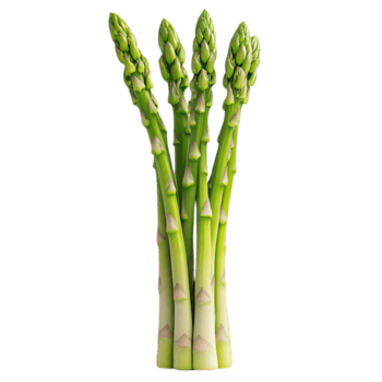 Esparrago