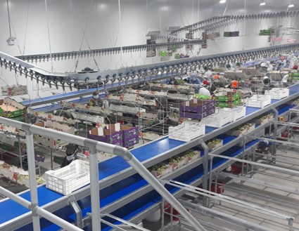 Fabricación de naves industriales