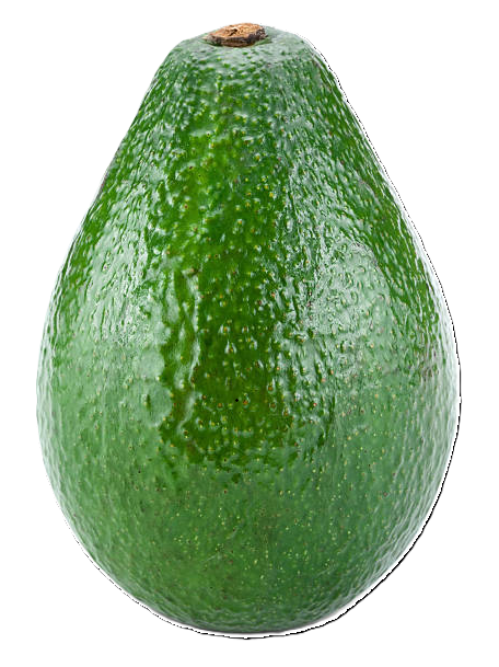 Equipo para Aguacate